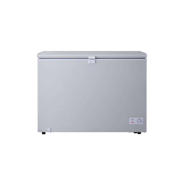 
	Congélateur horizontal LG GCS315SQFG – 280 L