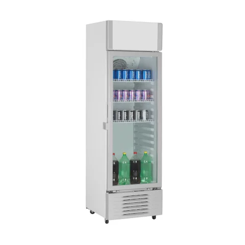 
	Réfrigerateur vitrine Hisense FL30FC 222L