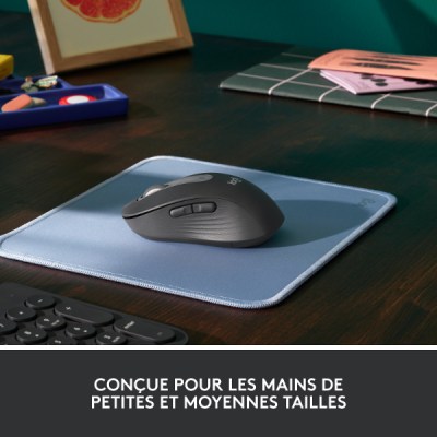 
	Souris sans fil Logitech M650